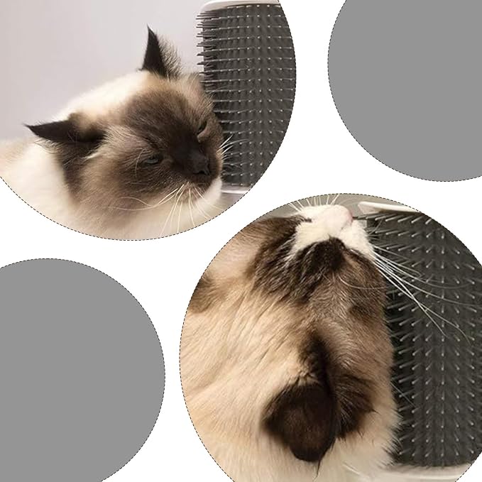 Cat Corner Scratch Massager